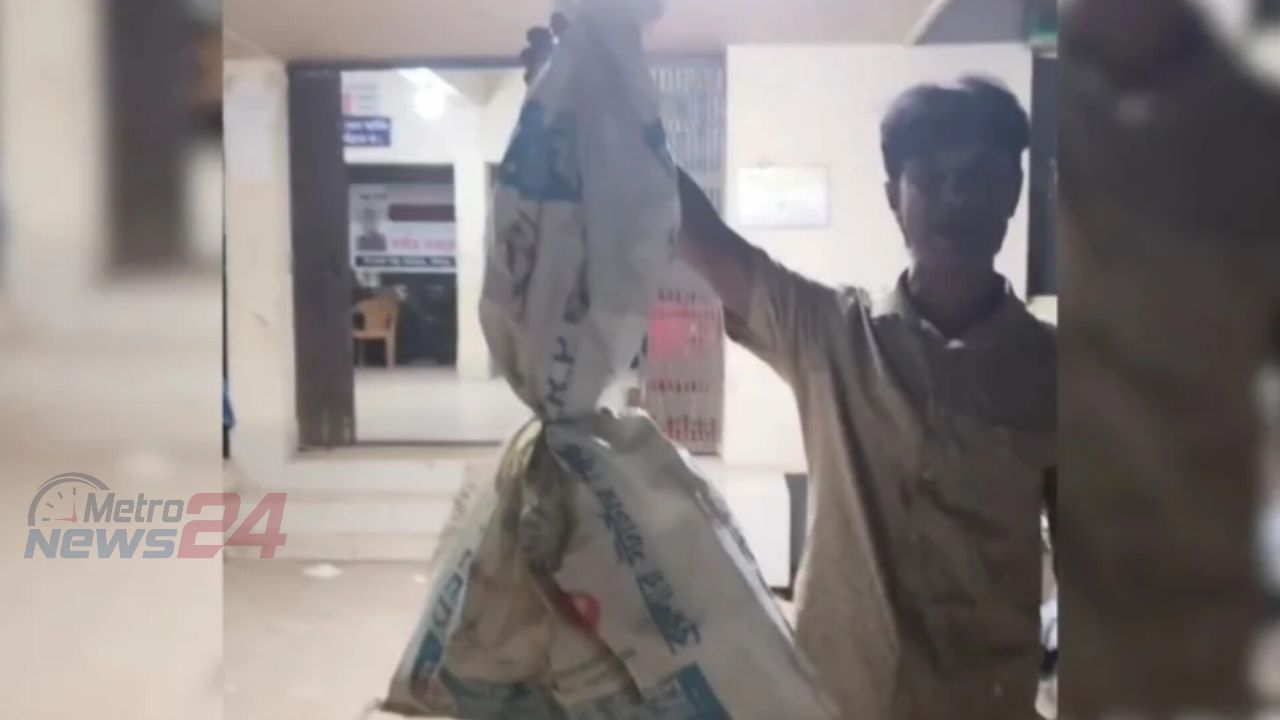 কামড় খেয়ে জ্যান্ত সাপ বস্তায় ভরে হাসপাতালে হাজির টাঙ্গাইলের কাদের!